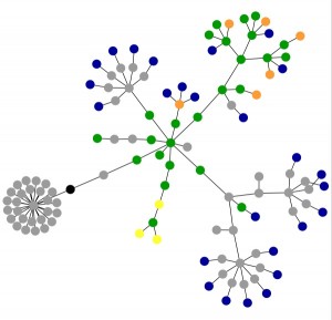 oneicity website data viz